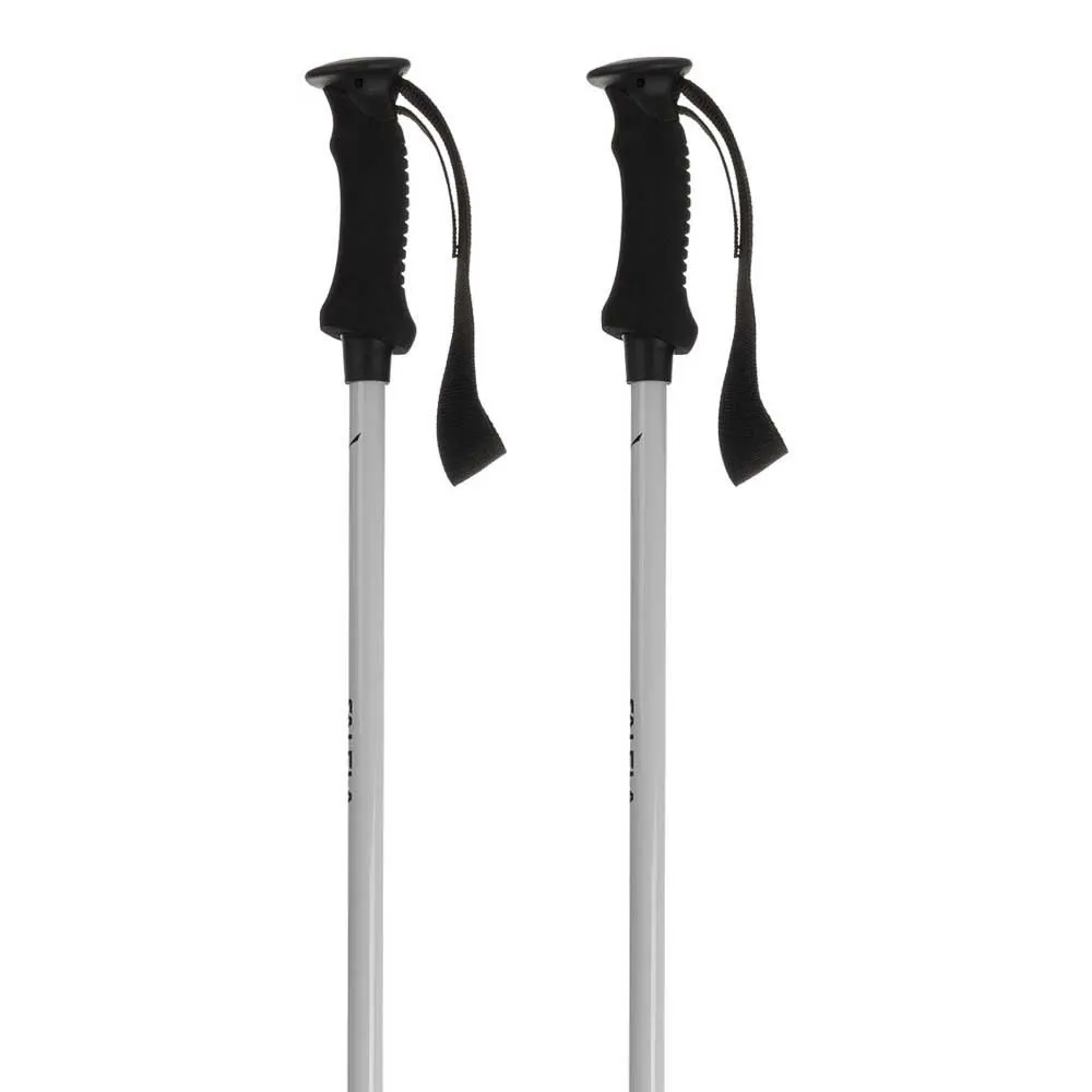 Salewa Puez Aluminum Pro Stokken Blauw