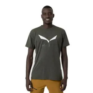 Salewa Solidlogo Dri-release® T-shirt Met Korte Mouwen Olijf