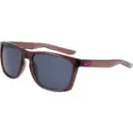 Plum Eclipse