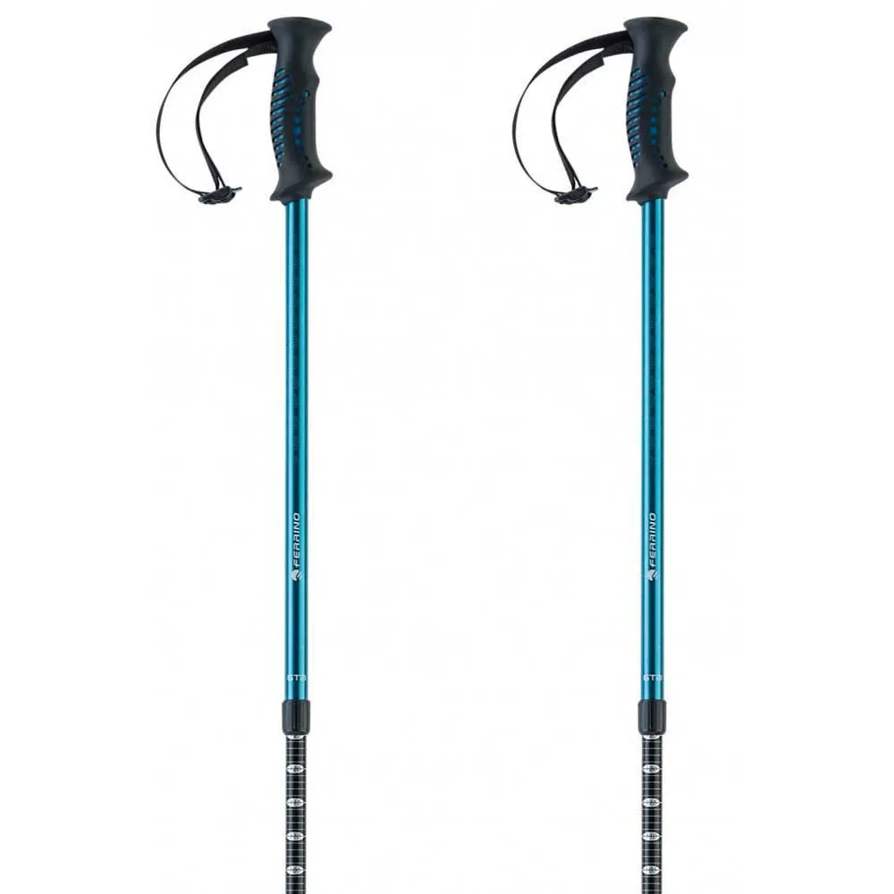 Ferrino Gta Stokken Blauw
