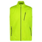 Limegreen