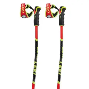 Leki Alpino Wcr Tbs Gs 3d Stokken Zwart