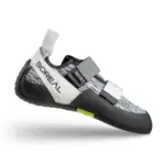 Grijs