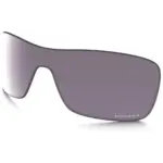 Prizm Daily Polarized