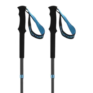 Salomon Mtn Outdoor Stokken Zwart