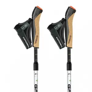 Gabel Nordic Revo A1 Stokken Zwart