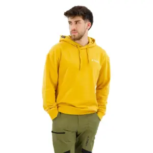 Adidas Organiser Logo Hoodie Preyel