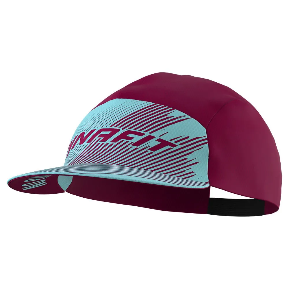 Dynafit Alpine Graphic Pet Blauw