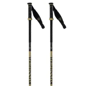 Rossignol Freeride Pro Safety Stokken Multicolor