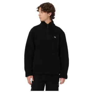 Dickies Mount Hope Fleece Met Halve Rits Zwart