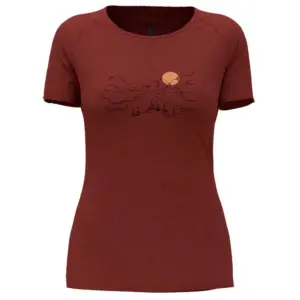 Odlo Crew Ascent Pw 130 Vall T-shirt Met Korte Mouwen Spiced Apple Melange