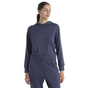 Icebreaker Crush Ii Merino Hoodie Zilver