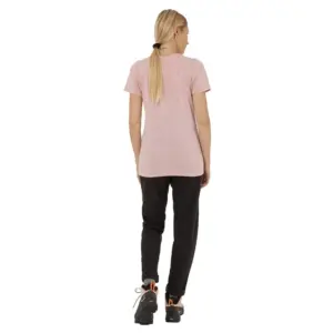 Salewa Pure Box Dryton T-shirt Met Korte Mouwen Zephyr