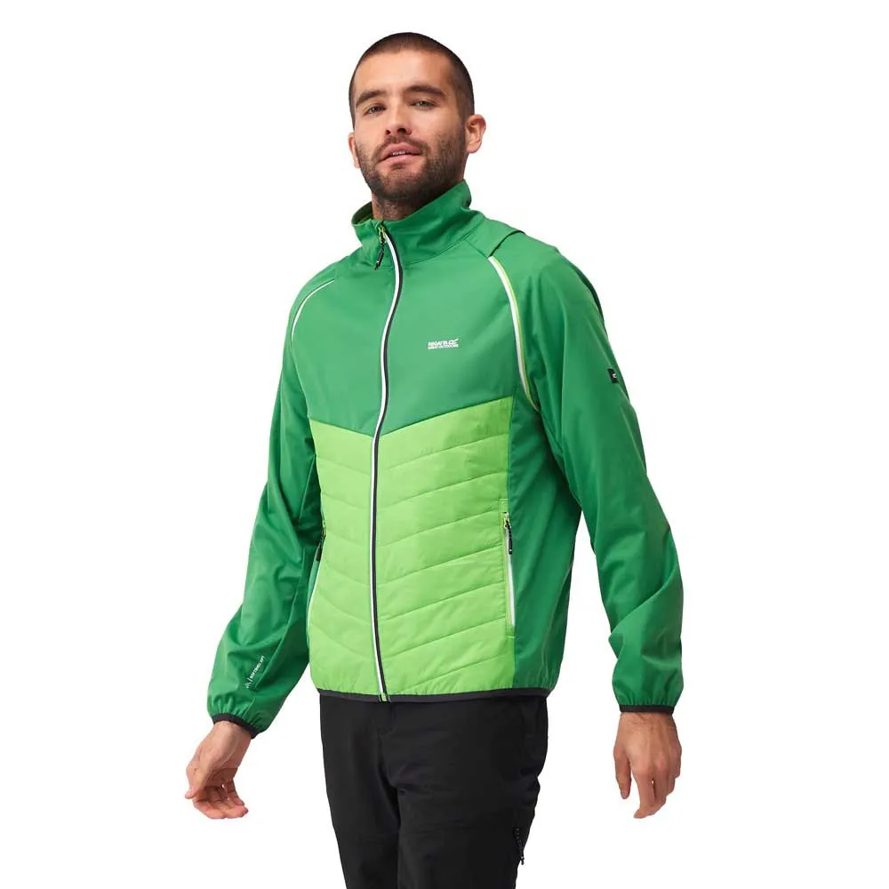 Regatta Steren Hybrid Softshelljack Groen