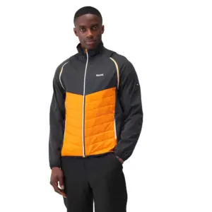 Regatta Steren Hybrid Softshelljack Oranje