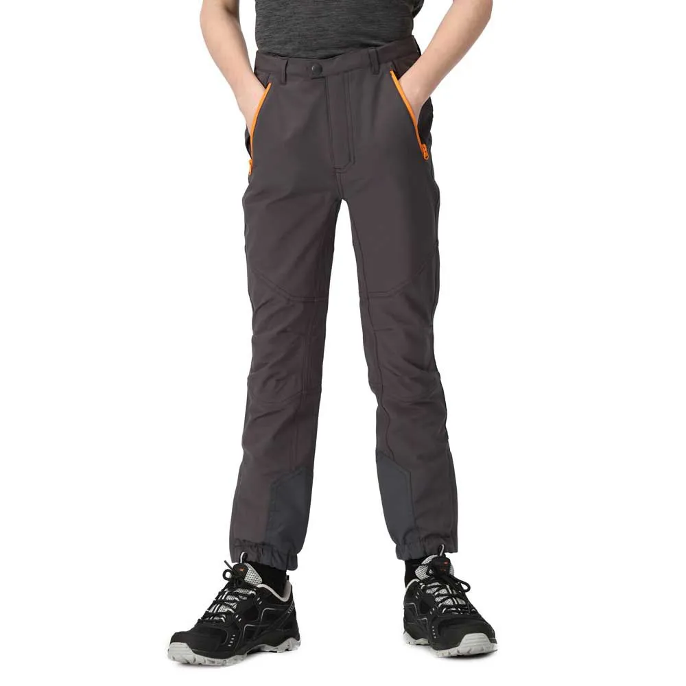 Regatta Tech Mountain Broek Zilver