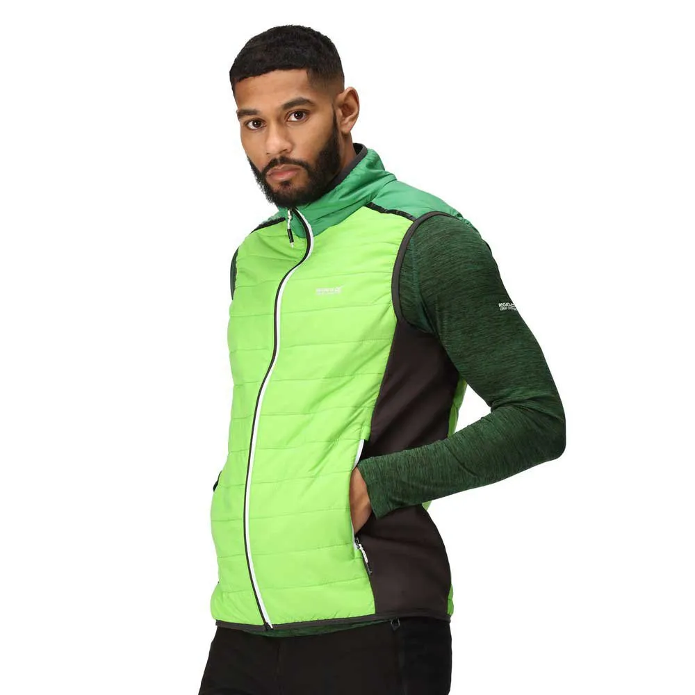 Regatta Halton Vii Vest Groen
