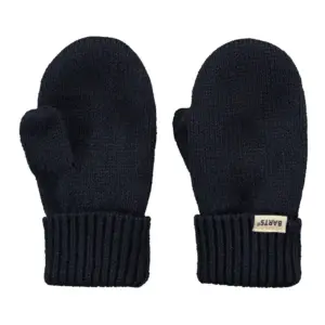 Barts Milo Handschoenen Blauw