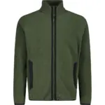 Groen