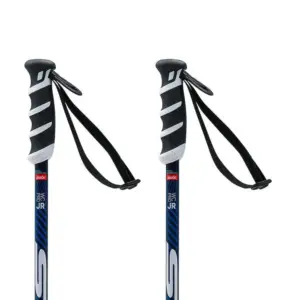 Swix Wc Pro Sl Junior Stokken Zwart