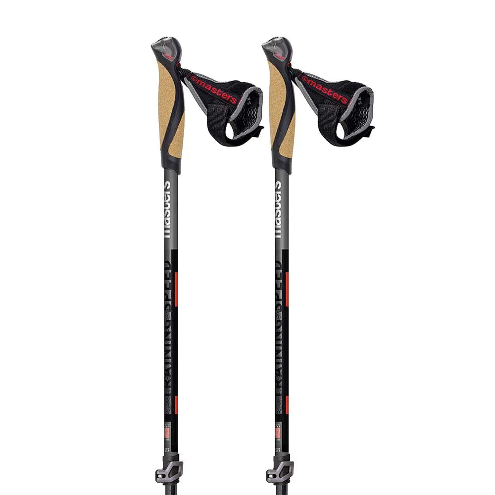 Masters Training Speed Stokken Zwart