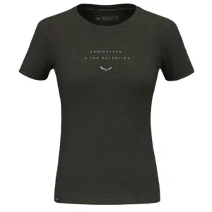Salewa Eagle Eitd Alpine Merino T-shirt Met Korte Mouwen Olijf
