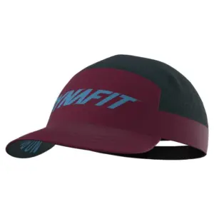Dynafit Transalper Pet Blueberry