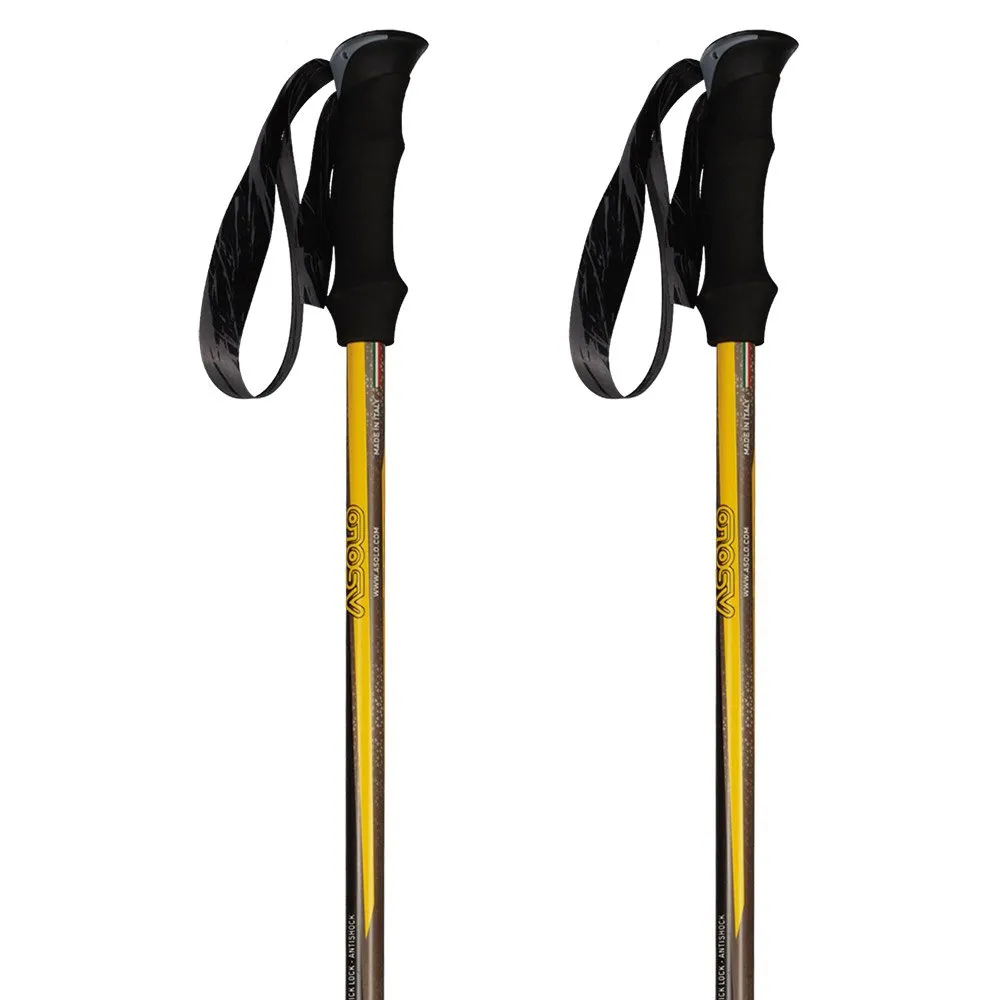 Asolo Climber Stokken Zwart