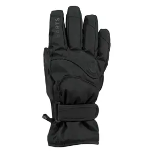 Barts Basic Ski Handschoenen Zwart