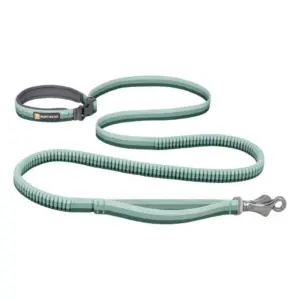 Ruffwear Roamer™ Hondenriem Groen