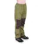 Groen
