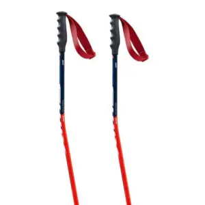 Swix World Cup Pro Donwhill Stokken Zwart