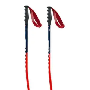 Swix World Cup Pro Super-g Stokken Zwart