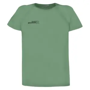 Rock Experience Oriole T-shirt Met Korte Mouwen Basil