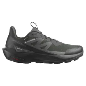 Salomon Elixir Activ Gore-tex® Wandelschoenen Zwart