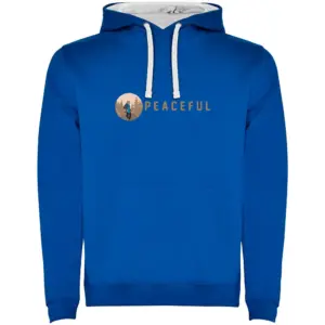 Kruskis Peaceful Two-colour Hoodie Blauw