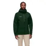 Woods