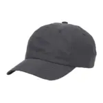 Zwart
