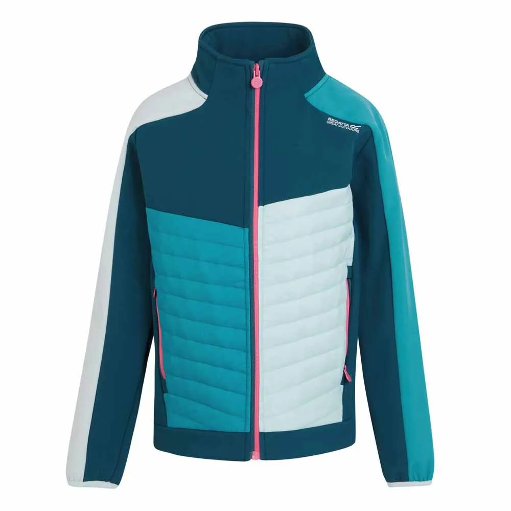 Regatta Brynden Softshelljack Blauw