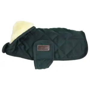 Kentucky Original Hondenjas Groen