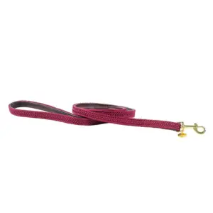 Kentucky Nylon Plaited Hondenriem 12 Mm Rood