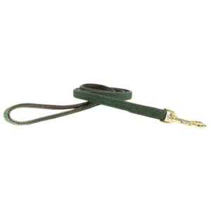 Kentucky Nylon Plaited Hondenriem 15 Mm Groen