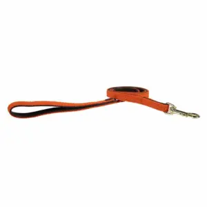 Kentucky Nylon Plaited Hondenriem 15 Mm Oranje