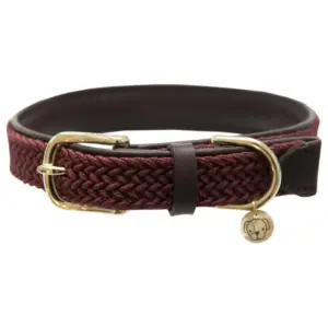 Kentucky Nylon Plaited Hondenhalsband Rood