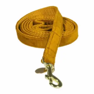 Kentucky Velvet Hondenriem 15 Mm Mustard