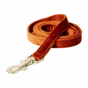 Kentucky Velvet Hondenriem 20 Mm Oranje