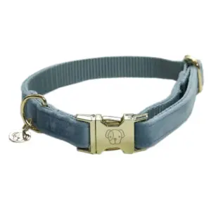 Kentucky Velvet Hondenhalsband Blauw