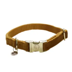 Kentucky Velvet Hondenhalsband Mustard