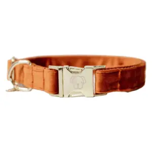 Kentucky Velvet Hondenhalsband Oranje