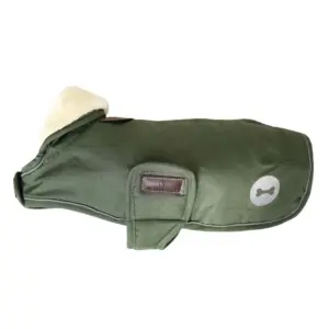 Kentucky Waterproof Hondenjas Groen